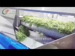 डिब्बाबंद बीन्स उत्पादन लाइन डिब्बाबंद बीन्स कैसे बनाती है?