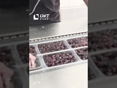 तिथि पैकेजिंग उत्पादन लाइन स्वचालित तिथि खिंचाव फिल्म वैक्यूम पैकेजिंग मशीन