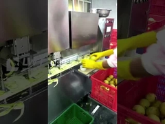 लीडवर्ल्ड डिब्बाबंद फल उत्पादन लाइन डिब्बाबंद बेर प्रसंस्करण लाइन