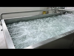 सब्जी धोने की मशीन